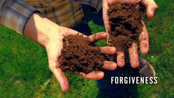 Why Forgive? Image
