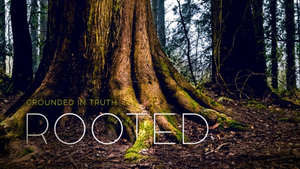 Rooted to Live Like Jesus Image