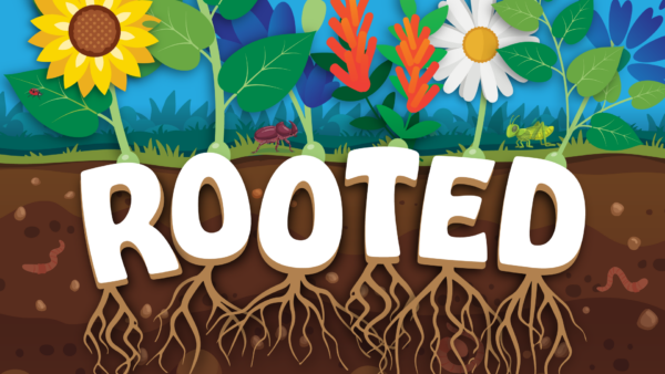 Rooted //  BKids Toddler and Wonder 