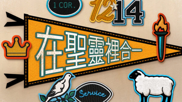 Chinese | Team Spirit